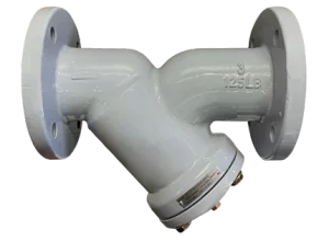 Filtro Y com Internos em Inox Classe 125 ANSI